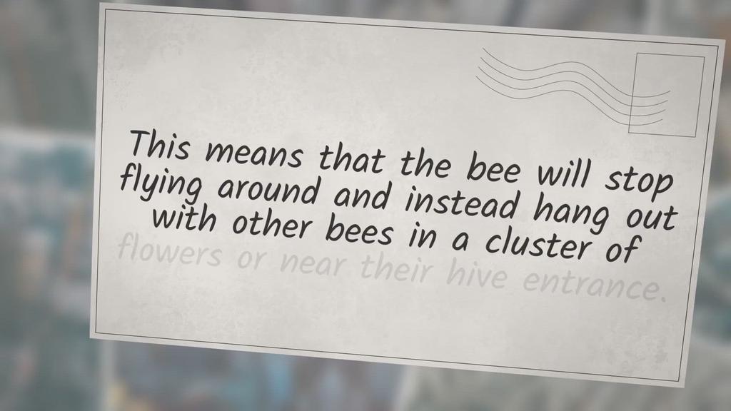 'Video thumbnail for Do Honey Bees Sleep at Night?'