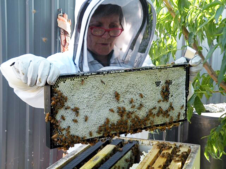 Frame full of capped honey