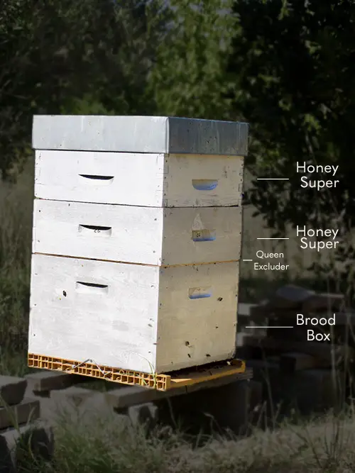 Brood Box Vs Super: What Is The Difference? | Busy Beekeeping