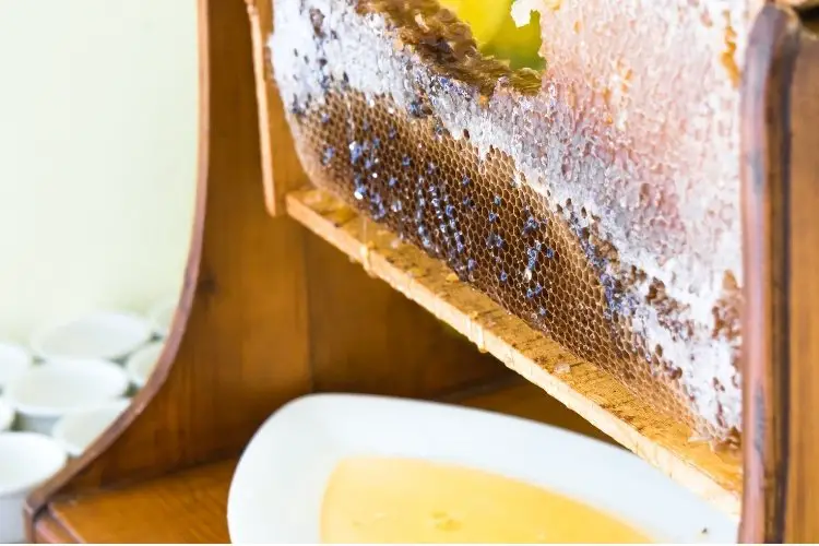 Frame full of honey dripping into a plate