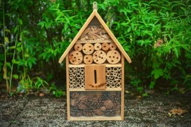 Bee house or bee hotel with foliage background