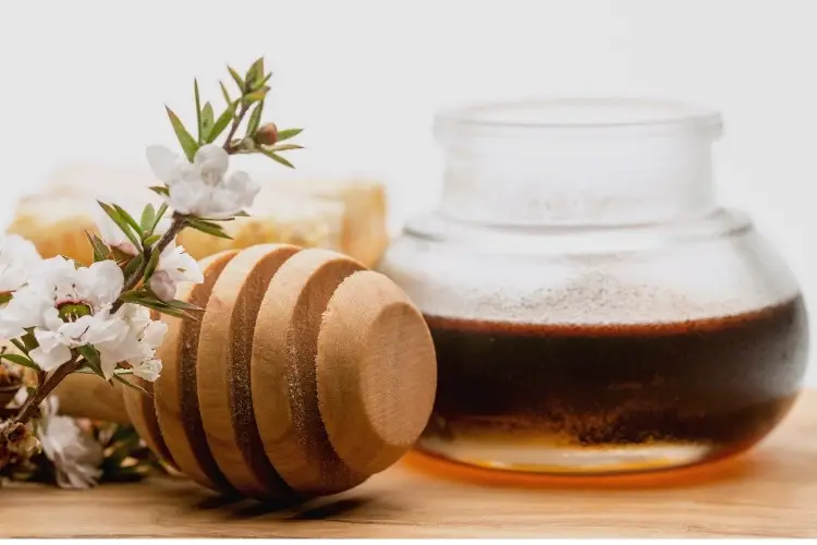 Jar of dark honey with a branch from a manuka tree and wooden dipper