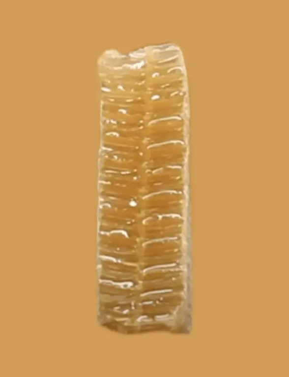 An upright piece of honeycomb with cells inside slightly angled upwards