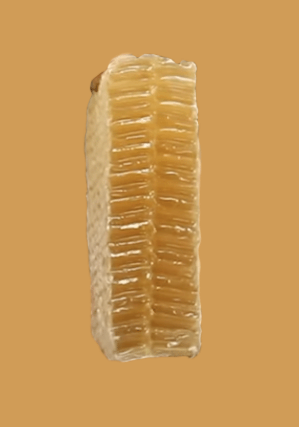 An piece of honeycomb with cells inside slightly angled downwards